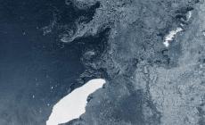 Si scioglie l'iceberg più grande (e social) del mondo