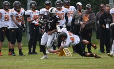 I Panthers  battono i Rhinos