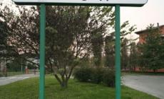 Iren, Guarnieri: "Cosa serve a Parma un vicepresidente se non informa nemmeno?"