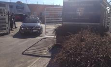 Crac Parma calcio, a processo l'ex numero due della Finanza e De Paolini