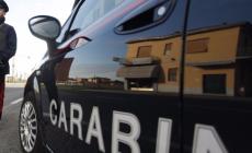 Fuori provincia senza certificazione, patenti false, droga: raffica di multe e denunce tra Fidenza e Bassa Ovest