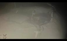 Ritrovato il sottomarino scomparso, morti i 53 a bordo