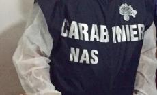 I Nas nei supermercati trovano il virus su tastiere, salvatempo e carrelli:  18 tamponi positivi e 12 esercizi chiusi. Multe anche a Parma