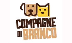 Animali domestici, l'importanza dell'addio