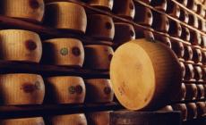 Sala, comprarono 270 chili di formaggio con un assegno falso
