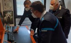 Parcheggia nello stallo dei disabili: lite, insulti e guai per un automobilista
