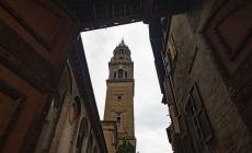 Inanellati Adele e Antonio: ora i falchetti pellegrini nati sul campanile di San Giovanni hanno la "carta d'identità" - Foto