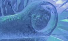 Il bello del freddo: le sculture di ghiaccio che arrivano dalla Russia Video