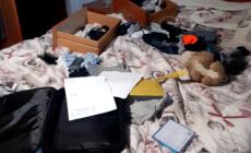 Ladri in due villette in pieno giorno. Narcotizzato il cane