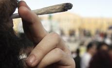 Hascisc per 650 spinelli: patteggia dieci mesi