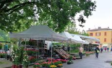 Centro storico rinnovato, tornano le bancarelle a Fornovo