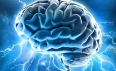 Localizzati nel cervello i diversi tipi di amore