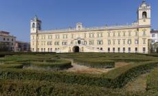 Le porcellane-capolavoro dei Duchi di Parma si ammirano alla Reggia di Colorno