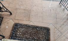 Prima grandinata del 2021 nel Parmense - Foto