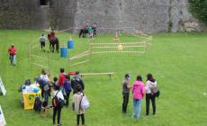  Prosegue il progetto "Riattiviamoci al parco"  - Foto 