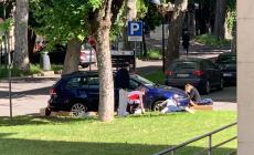 Caccia al coniglio al Maggiore