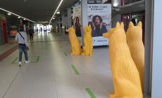 I lupi del Festival della Creatività sono "migrati" in stazione -  Foto