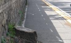 "Pista ciclabile pericolosa in via Toscana" - Foto