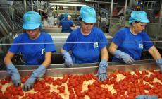 Lavoro: nel Parmense quasi 3.500 lavoratori saranno assunti in maggio