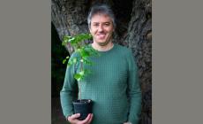 Sei classi tengono a battesimo il Gingko Biloba arrivato da Hiroshima al Bosco Spaggiari - Foto