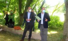 A lezione nel bosco del Po col direttore della Gazzetta di Parma - Foto