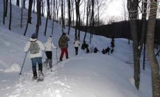 Escursionisti domenica in  Val Cedra