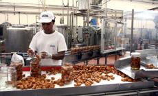 Immigrati: l'Emilia prima per l'inserimento nel lavoro