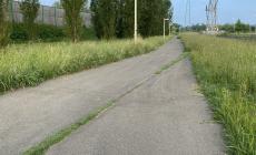 Quartiere Eurosia, ecco come è ridotto il verde pubblico