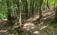 I cavi fra gli alberi nei Boschi di Carrega, ferito un biker: «Un volo terribile, è andata bene»