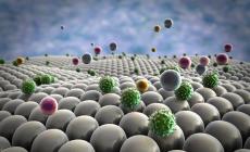 Tumori: terapia innovativa contro il cancro al pancreas