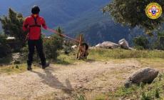 Monte Penna: riprese le ricerche della dispersa. Dalla Valle d'Aosta arrivati i cani molecolari