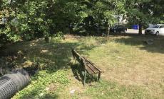 "Via Kulischof, ecco il panorama davanti alla porta di casa" - Foto