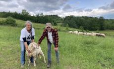 Borgotaro, pastori come scelta di vita