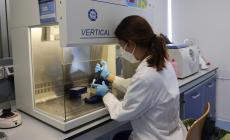 La variante indiana ora fa paura, ma a Parma nessun caso