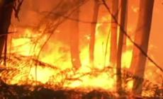 Da martedì la "fase di attenzione" per il pericolo di incendi boschivi. In febbraio mai accaduto prima