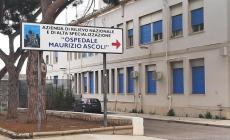 Mandragora scambiata per borragine, famiglia intossicata a Palermo