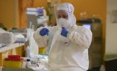 Parma, nessun decesso, 333 nuovi positivi e un paziente in Terapia intensiva (ieri erano tre)