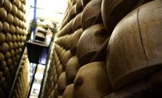 Ruba Parmigiano Reggiano: preso il mattino dopo in Brianza