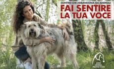 La campagna #faisentirelatuavoce per denunciare chi abbandona gli animali
