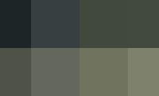 Parco Martini: foto-cronaca di un Ferragosto in festa