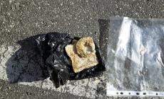 Bocconi avvelenati al parco Martini