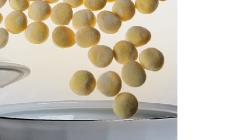 Anolini: la sfida impossibile