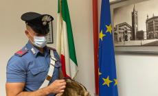 Ruba vestiti grazie a una borsa schermata e aggredisce il vigilante che lo sorprende: arrestato