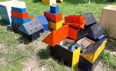 Tangram: i cantieri creativi di comunità in Cittadella