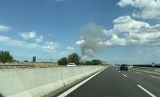 Incendio in un campo a Baganzola: colonna di fumo vicino all'autostrada - Video 