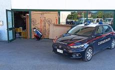 Traversetolo, auto rubata come ariete: sparite sei bici elettriche. Ma va a monte il bis in un altro negozio