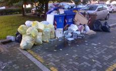 Foto dei lettori - Un'altra montagnola di rifiuti