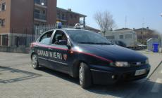 Centro diurno, ladri affamati di budino