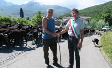 Transumanza sui prati del Monte Navert: il pastore e il suo gregge accolti dal sindaco