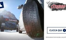Piccinini Gomme srl Via Emilia, 59, Castelguelfo di Fontevivo (PR) Tel. 0521.618648